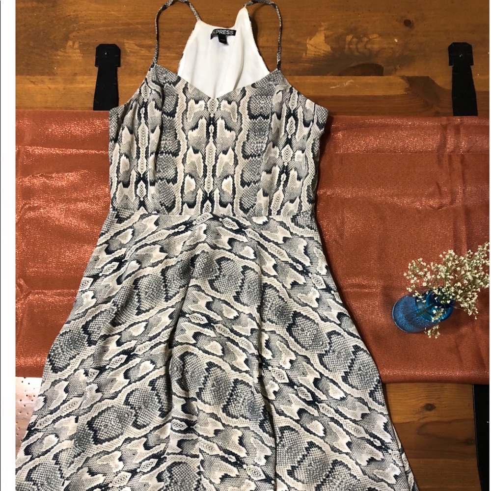 Express snake skin skater dress